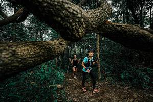 BIB: 
                            <button type="button" onclick="openModal(25701107)" class="btn btn-primary btn-sm float-right btn-popup" data-toggle="modal" data-target=".modal-high-quality">
                        <i class="fas fa-shopping-cart"></i> Add to Cart
                    </button>
                                            <button type="button" onclick="isThisMe(25701107, true)" class="btn btn-success btn-sm float-right btn-popup btn-isme hidden" data-toggle="tooltip" data-placement="bottom" title="นี่คือรูปของคุณใช่ไหม คลิกที่นี่เพื่อเอาเข้าอัลบั้ม">
                        <i class="fas fa-plus"></i> Add to album
                    </button>
                    <button type="button" onclick="isThisMe(25701107, false)" class="btn btn-warning btn-sm float-right btn-popup btn-isnotme hidden">
                        <i class="fas fa-ban"></i> Remove from album
                    </button>